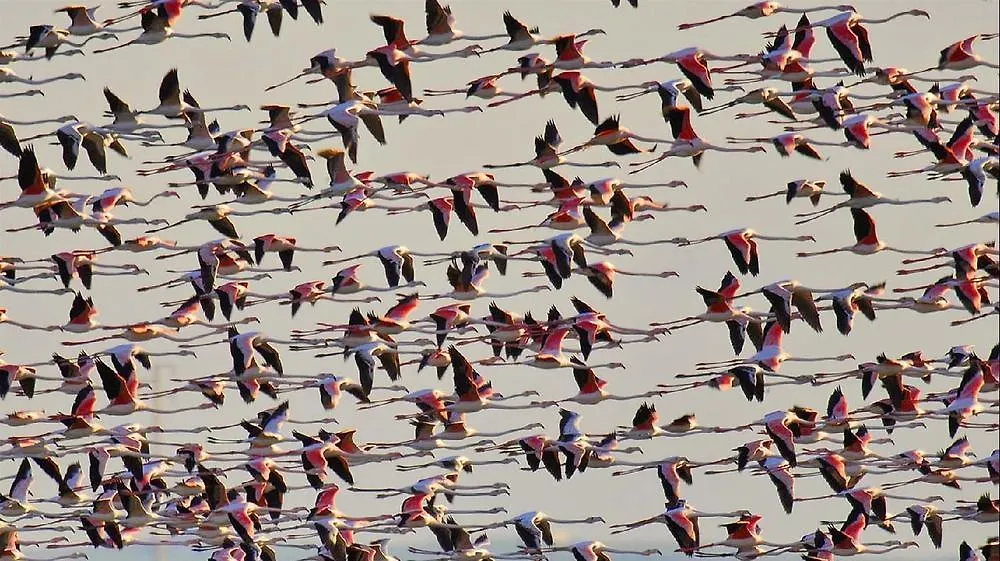 Los Helechos Sanlucar de Barrameda Spain